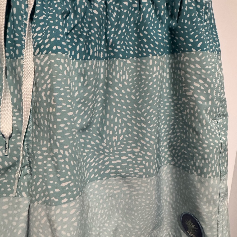 chubbies Green Gradient Patterned Swim Trunks - Picture 3 of 15
